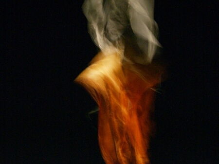 TAGLIATA2008-NM-0049.jpg - OLYMPUS DIGITAL CAMERA         