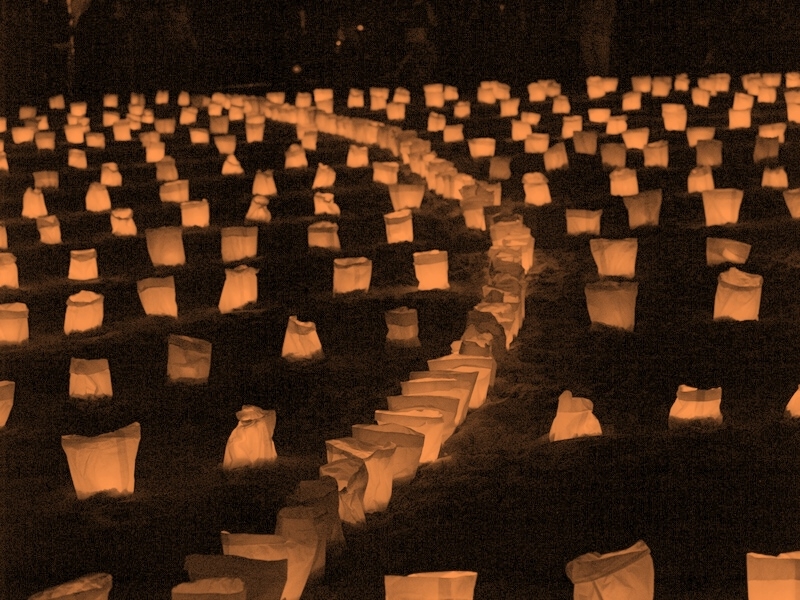 TAGLIATA2008-NM-0054.jpg - OLYMPUS DIGITAL CAMERA         