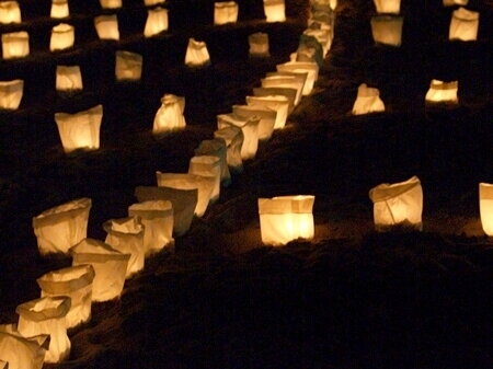 TAGLIATA2008-NM-0055.jpg - OLYMPUS DIGITAL CAMERA         