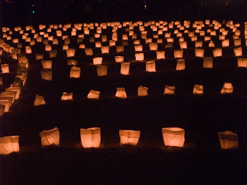 TAGLIATA2008-NM-0056.jpg - OLYMPUS DIGITAL CAMERA         