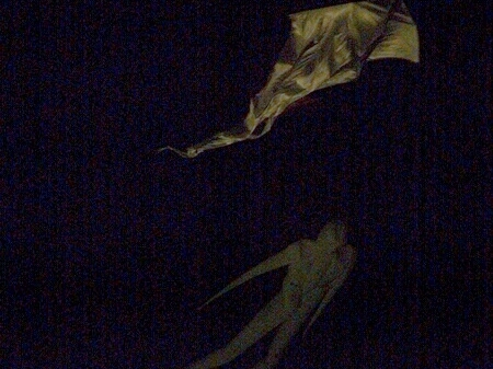 TAGLIATA2008-NM-0058.jpg - OLYMPUS DIGITAL CAMERA         