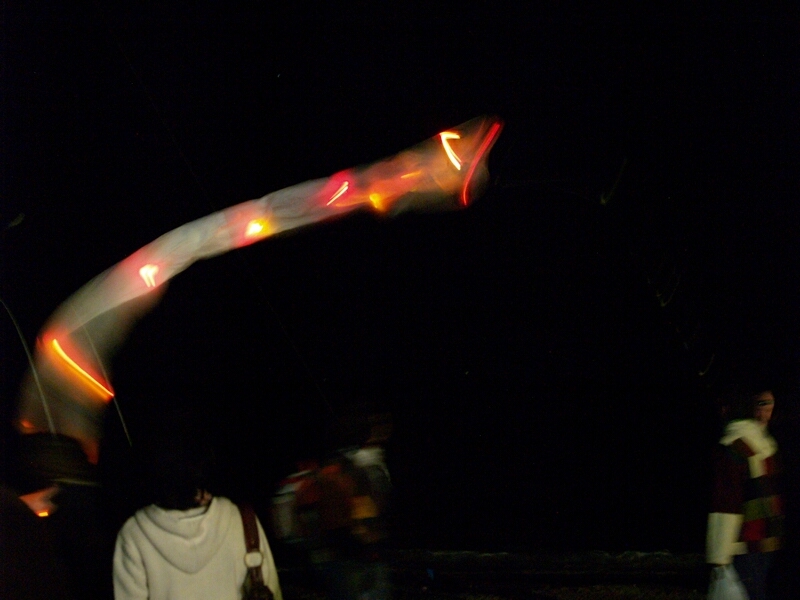 TAGLIATA2008-NM-0064.jpg - OLYMPUS DIGITAL CAMERA         