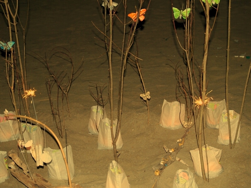 TAGLIATA2008-NM-0078.jpg - OLYMPUS DIGITAL CAMERA         