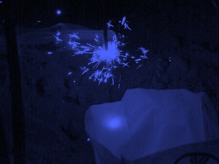 TAGLIATA2008-NM-0079.jpg - OLYMPUS DIGITAL CAMERA         