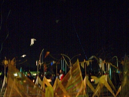 TAGLIATA2008-NM-0083.jpg - OLYMPUS DIGITAL CAMERA         