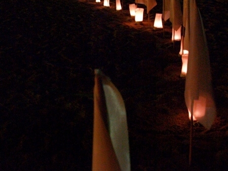 TAGLIATA2008-NM-0095.jpg - OLYMPUS DIGITAL CAMERA         