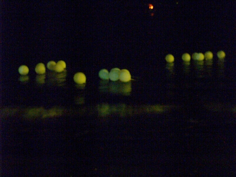 TAGLIATA2008-NM-0111.jpg - OLYMPUS DIGITAL CAMERA         