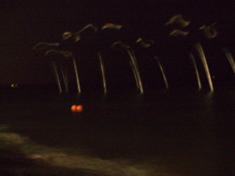 TAGLIATA2008-NM-0116.jpg - OLYMPUS DIGITAL CAMERA         