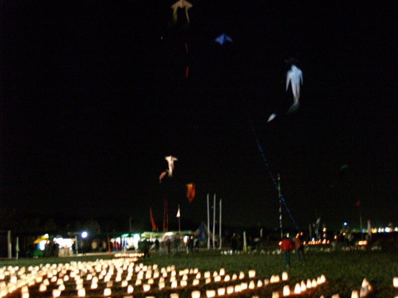 TAGLIATA2008-NM-0120.jpg - OLYMPUS DIGITAL CAMERA         