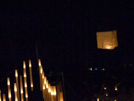 TAGLIATA2008-NM-0139.jpg - OLYMPUS DIGITAL CAMERA         