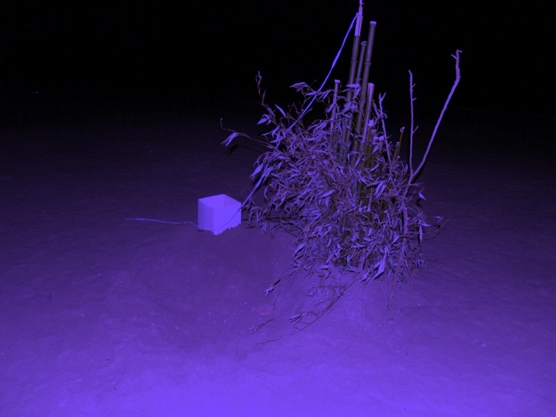 TAGLIATA2008-NM-0149.jpg - OLYMPUS DIGITAL CAMERA         