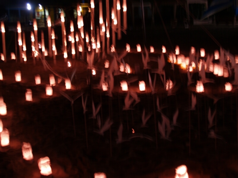 TAGLIATA2008-NM-0157.jpg - OLYMPUS DIGITAL CAMERA         