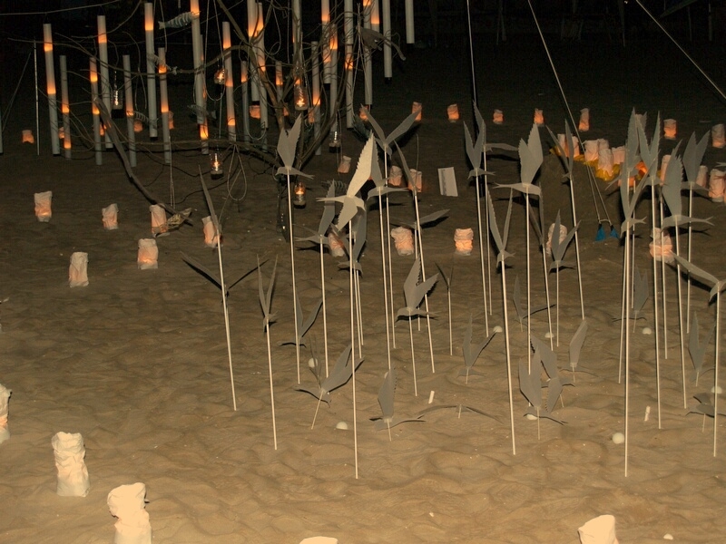 TAGLIATA2008-NM-0158.jpg - OLYMPUS DIGITAL CAMERA         