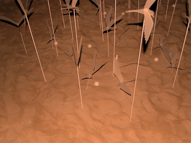 TAGLIATA2008-NM-0159.jpg - OLYMPUS DIGITAL CAMERA         