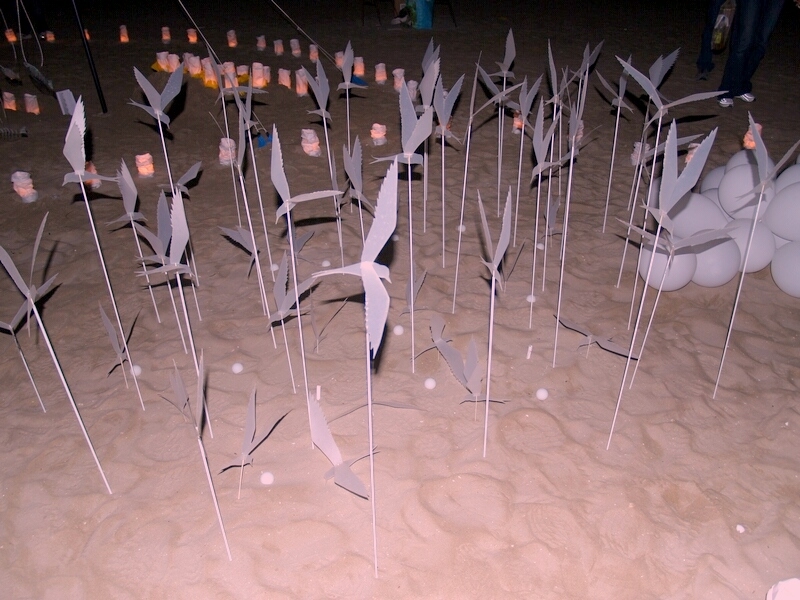 TAGLIATA2008-NM-0160.jpg - OLYMPUS DIGITAL CAMERA         