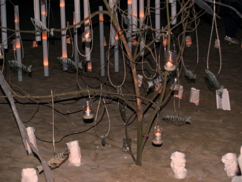 TAGLIATA2008-NM-0161.jpg - OLYMPUS DIGITAL CAMERA         