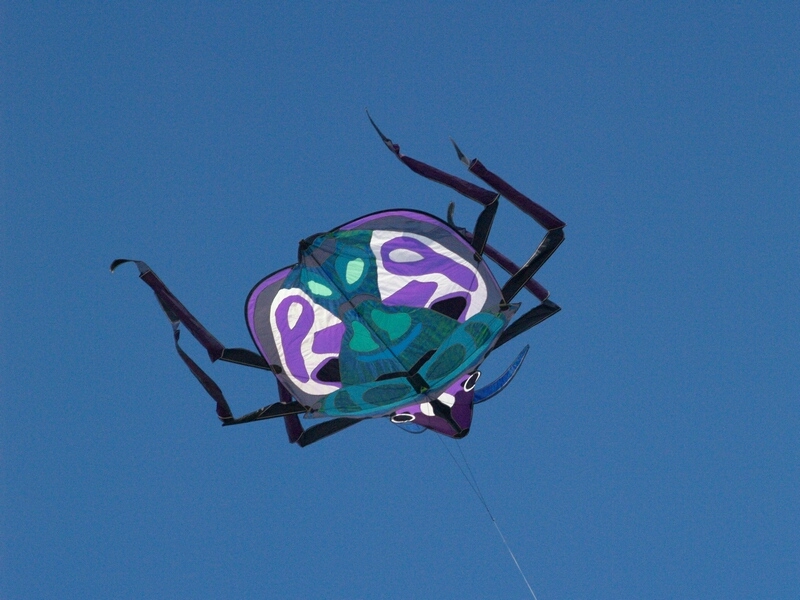 TAGLIATA2008-0002.jpg - OLYMPUS DIGITAL CAMERA         