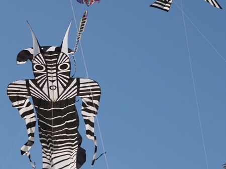 TAGLIATA2008-0013.jpg - OLYMPUS DIGITAL CAMERA         