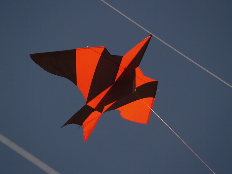 TAGLIATA2008-0017.jpg - OLYMPUS DIGITAL CAMERA         