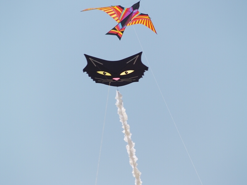 TAGLIATA2008-0023.jpg - OLYMPUS DIGITAL CAMERA         