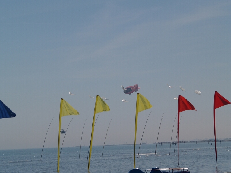 TAGLIATA2008-0050.jpg - OLYMPUS DIGITAL CAMERA         