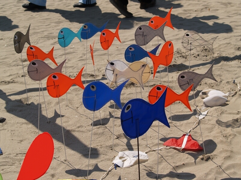 TAGLIATA2008-0056.jpg - OLYMPUS DIGITAL CAMERA         