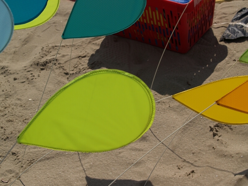 TAGLIATA2008-0058.jpg - OLYMPUS DIGITAL CAMERA         