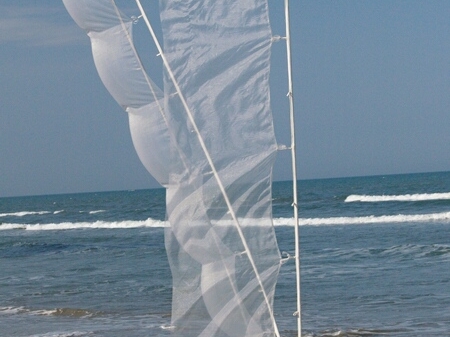 TAGLIATA2008-0059.jpg - OLYMPUS DIGITAL CAMERA         