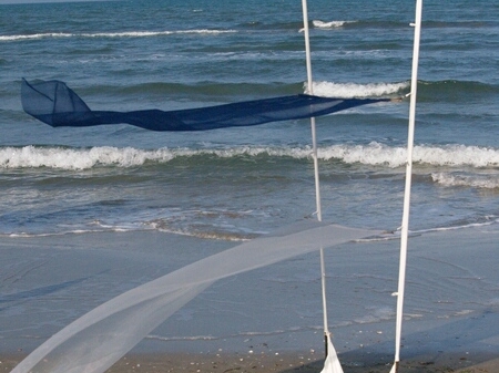 TAGLIATA2008-0061.jpg - OLYMPUS DIGITAL CAMERA         