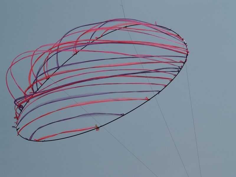 TAGLIATA2008-0067.jpg - OLYMPUS DIGITAL CAMERA         