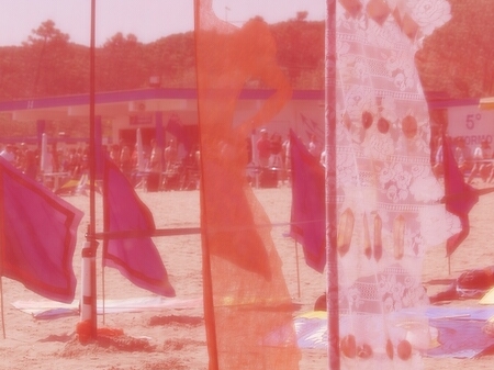 TAGLIATA2008-0069.jpg - OLYMPUS DIGITAL CAMERA         