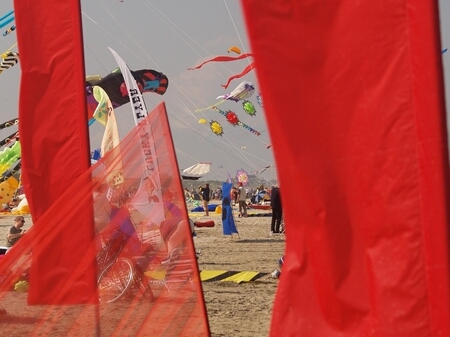 TAGLIATA2008-0070.jpg - OLYMPUS DIGITAL CAMERA         