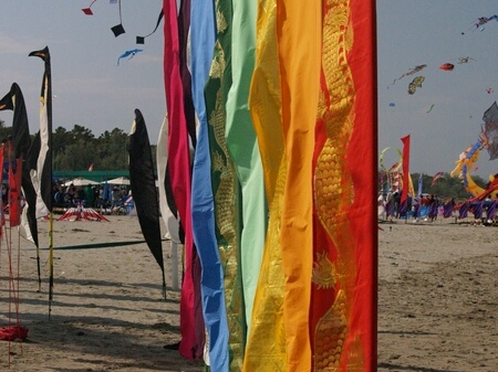 TAGLIATA2008-0072.jpg - OLYMPUS DIGITAL CAMERA         