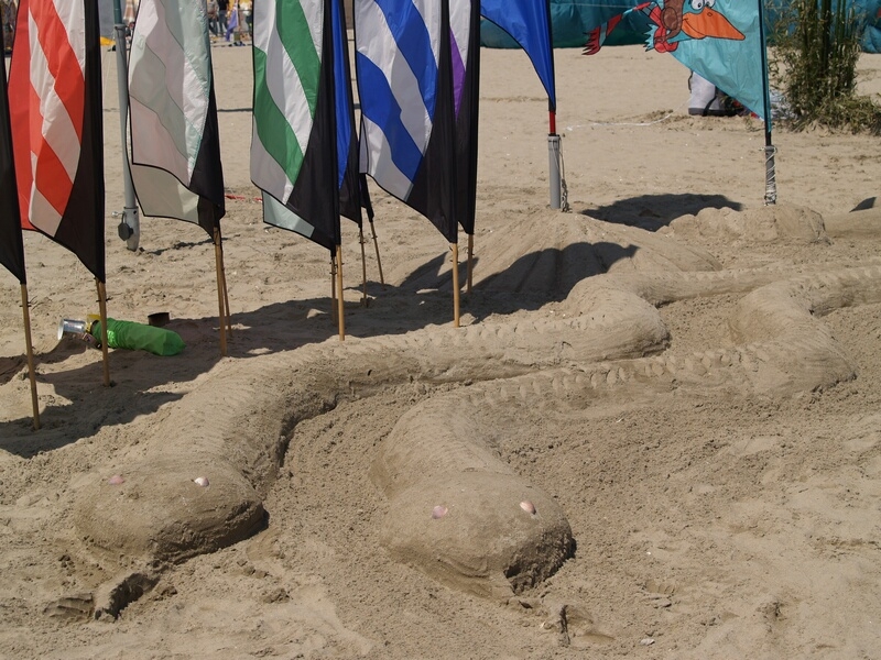 TAGLIATA2008-0073.jpg - OLYMPUS DIGITAL CAMERA         