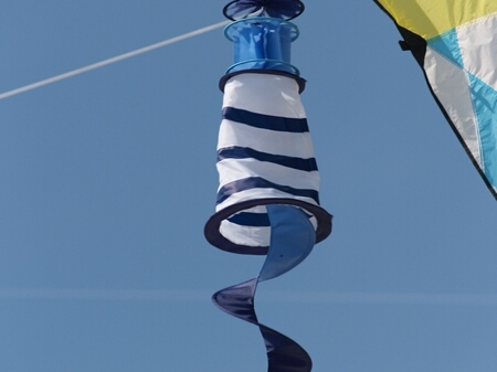 TAGLIATA2008-0079.jpg - OLYMPUS DIGITAL CAMERA         