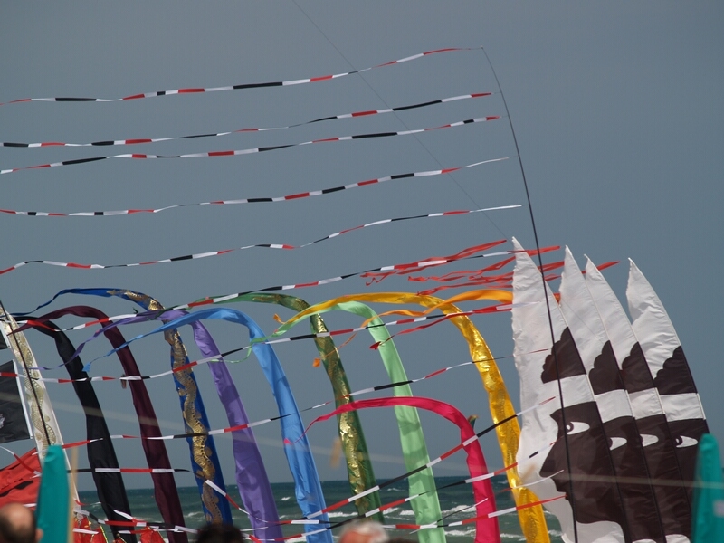 TAGLIATA2008-0080.jpg - OLYMPUS DIGITAL CAMERA         