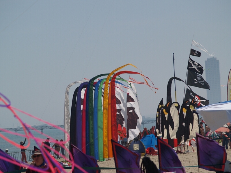 TAGLIATA2008-0081.jpg - OLYMPUS DIGITAL CAMERA         