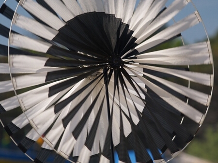 TAGLIATA2008-0082.jpg - OLYMPUS DIGITAL CAMERA         