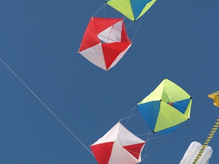 TAGLIATA2008-0104.jpg - OLYMPUS DIGITAL CAMERA         