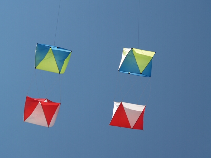 TAGLIATA2008-0105.jpg - OLYMPUS DIGITAL CAMERA         