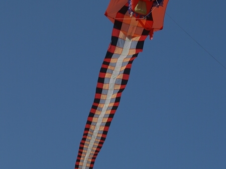 TAGLIATA2008-0112.jpg - OLYMPUS DIGITAL CAMERA         