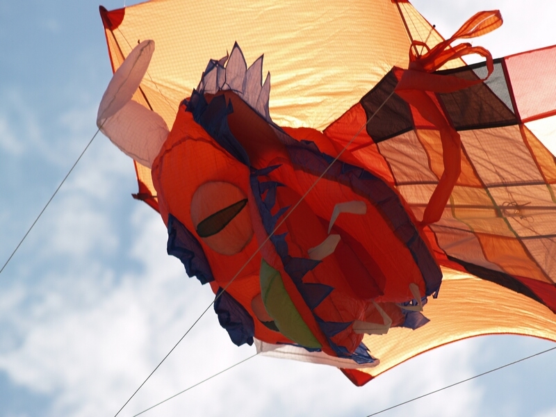 TAGLIATA2008-0113.jpg - OLYMPUS DIGITAL CAMERA         