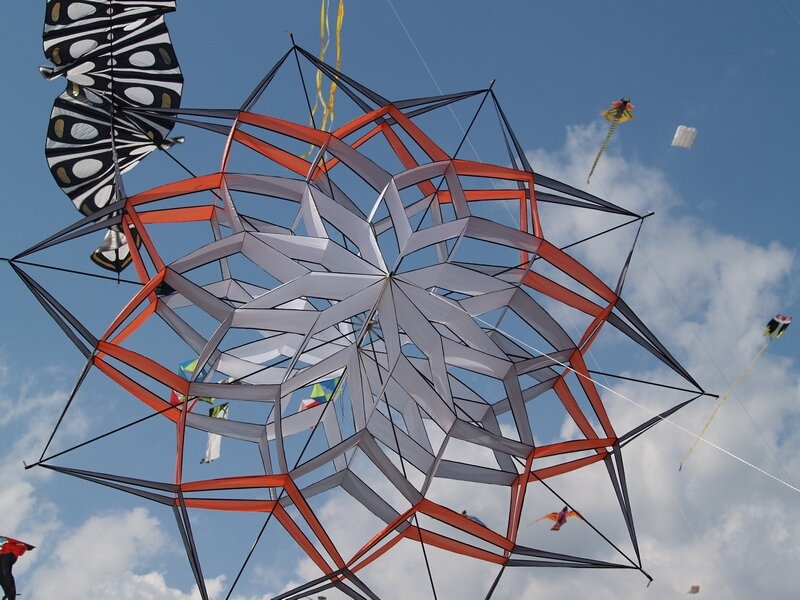 TAGLIATA2008-0116.jpg - OLYMPUS DIGITAL CAMERA         