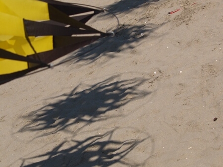 TAGLIATA2008-0123.jpg - OLYMPUS DIGITAL CAMERA         