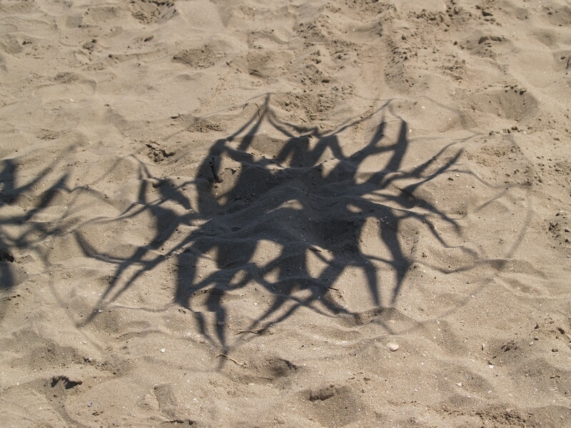 TAGLIATA2008-0124.jpg - OLYMPUS DIGITAL CAMERA         