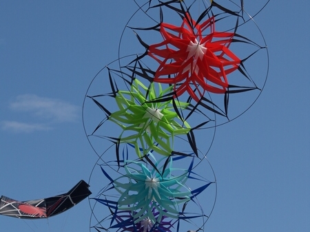 TAGLIATA2008-0126.jpg - OLYMPUS DIGITAL CAMERA         