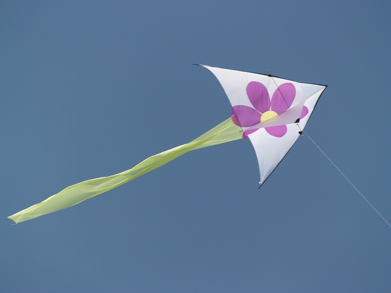 TAGLIATA2008-0129.jpg - OLYMPUS DIGITAL CAMERA         