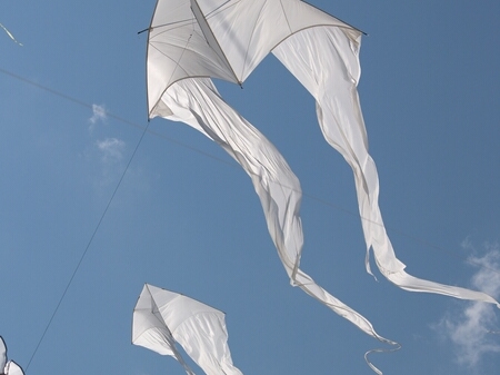 TAGLIATA2008-0138.jpg - OLYMPUS DIGITAL CAMERA         