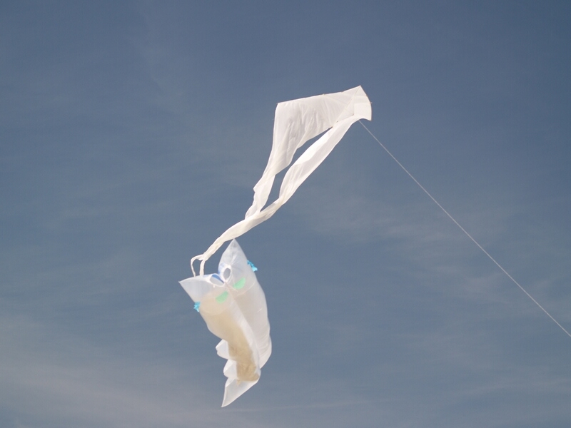 TAGLIATA2008-0139.jpg - OLYMPUS DIGITAL CAMERA         