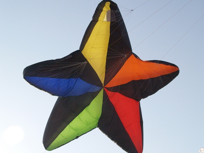 TAGLIATA2008-0146.jpg - OLYMPUS DIGITAL CAMERA         